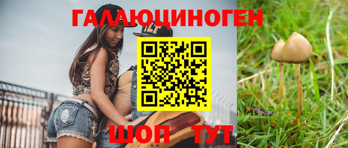 купить  цена  Вход с VPN  Москва  Галлюциногенные грибы Magic Shrooms  Галлюциногенные грибы прущие грибы 